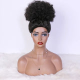 Afro Kinky Puff Synthetic Hair Wig