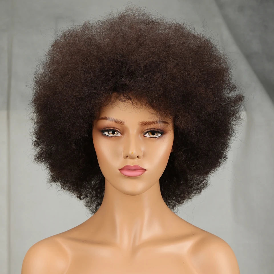 Afro Brazilian Human Hair Wig