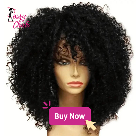 Afro Kinky Synthetic Hair Wig