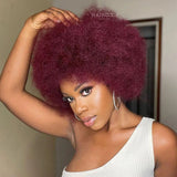 Afro Curly Human Hair Wig