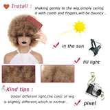 Bouncy and Soft Afro Puff Synthetic Wig for Women