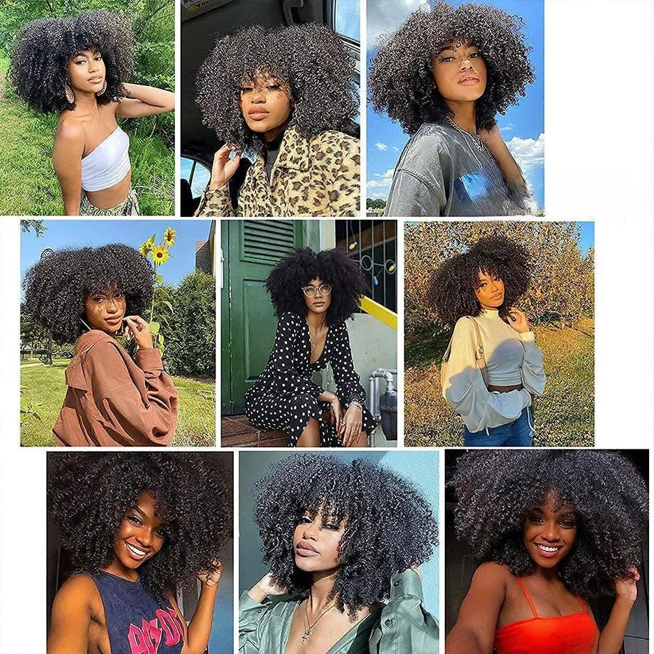 Afro Human Hair Wig