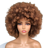 Short Hair Afro Kinky Curly Wig With Bangs brown