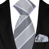 Silver Paisley Floral Stripes Neck Tie Set Handkerchief