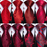 Collection of Solid Striped Paisley Neckties For Men 