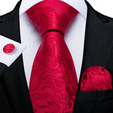 Solid Striped Paisley Neckties For Men