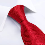 Solid Striped Paisley Neckties For Men