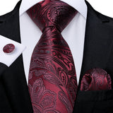 Solid Striped Paisley Neckties For Men
