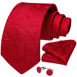 Solid Striped Paisley Neckties For Men