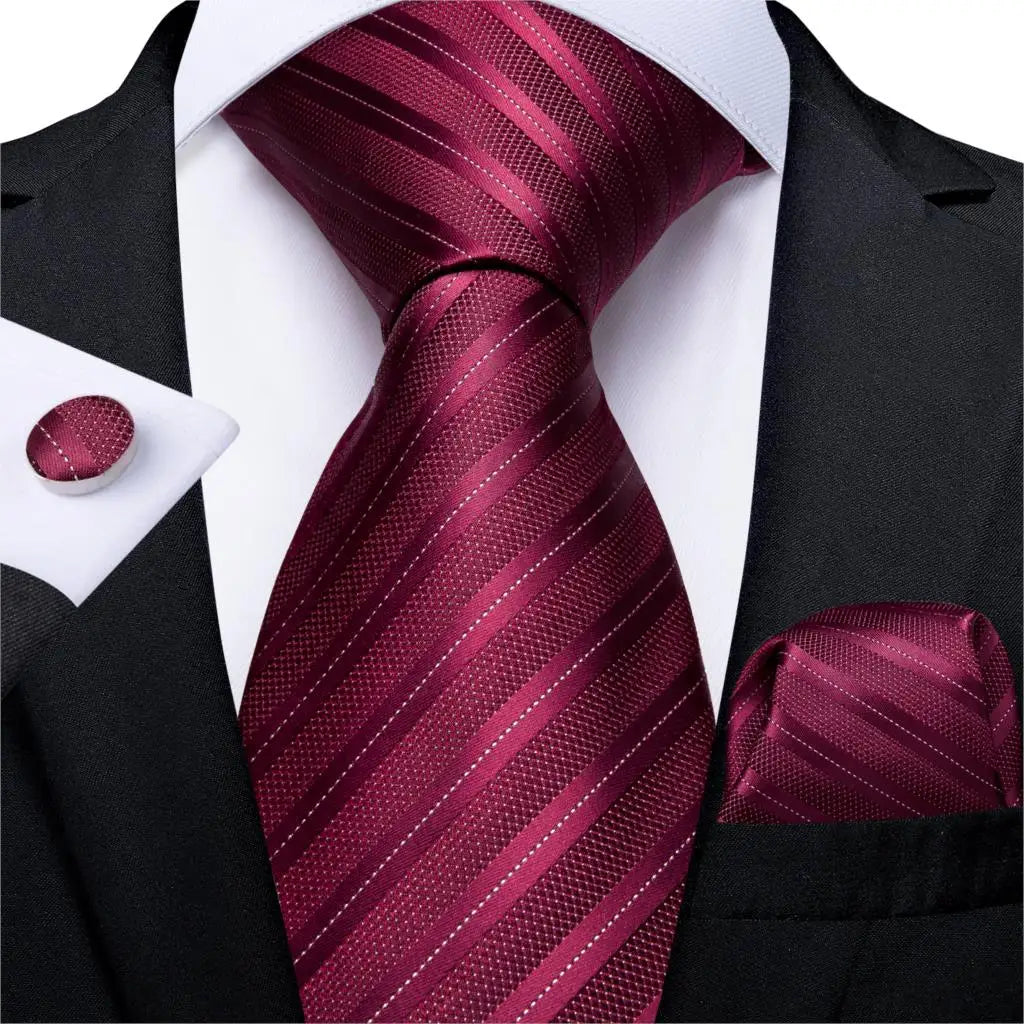 Solid Striped Paisley Neckties For Men