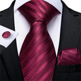 Solid Striped Paisley Neckties For Men