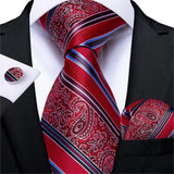 Solid Striped Paisley Neckties For Men