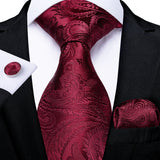 Solid Striped Paisley Neckties For Men
