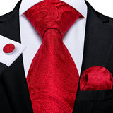 Solid Striped Paisley Neckties For Men