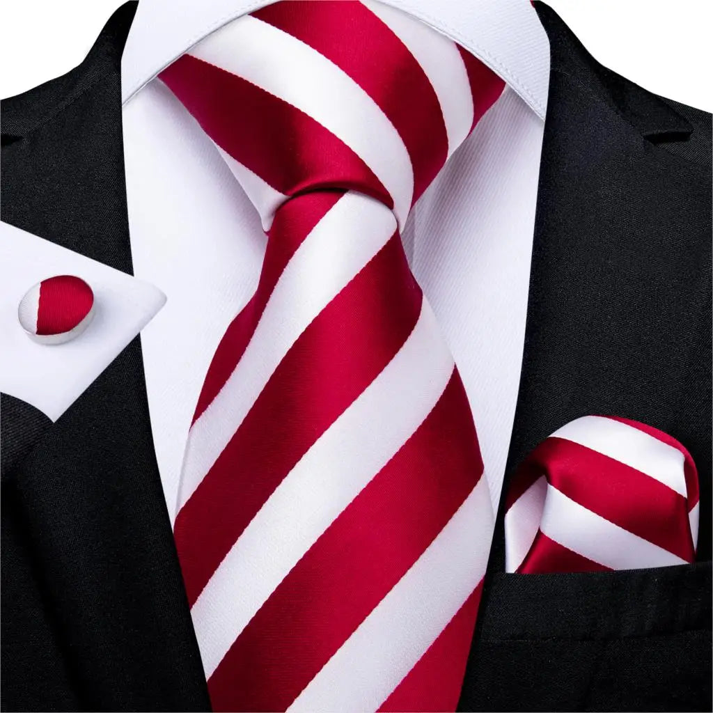 Solid Striped Paisley Neckties For Men