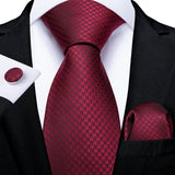 Solid Striped Paisley Neckties For Men