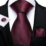 Solid Striped Paisley Neckties For Men