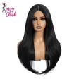 Straight Layered Pre Plucked Synthetic Lace Front Wigs Sassy Chick Logo