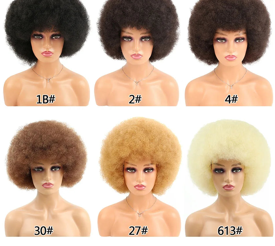 Synthetic Big Afro Kinky Curly Wig With Bang collections