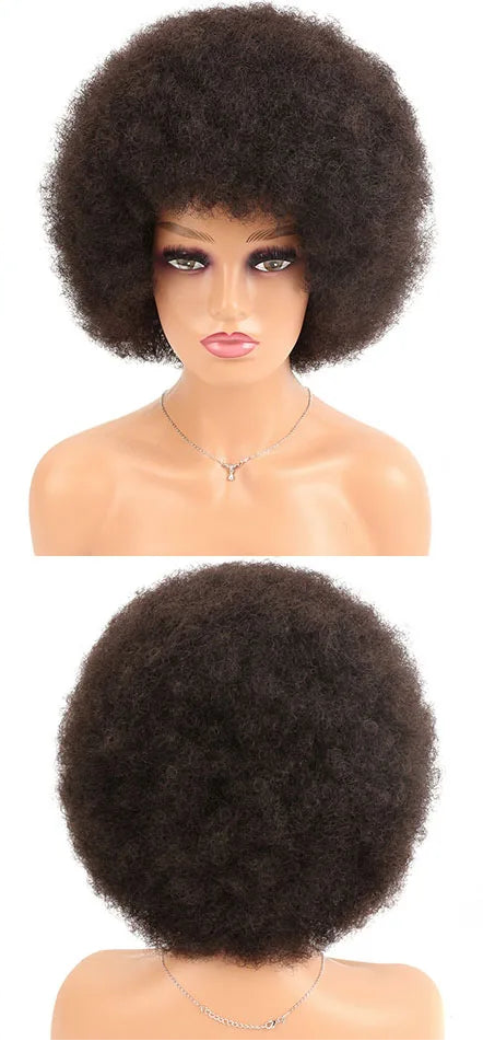 Synthetic Big Afro Kinky Curly Wig With Bang brown/ black