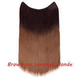 brown to caramel blonde 