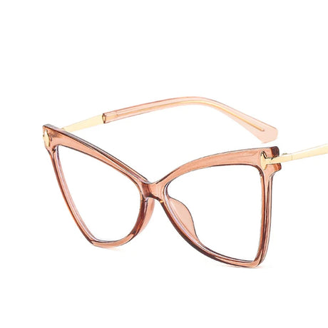 Triangle Frame Oversized TR90 Glasses brown