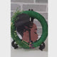 Lady in Green Wreath video
