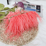 Orange Ostrich Feather Clutch