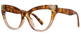 Big Frame Retro Eyeglasses