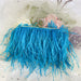 Ostrich Feather Clutch