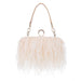 Ostrich Feather Clutch