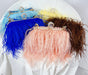 Ostrich Feather Clutch