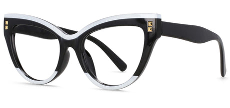 Big Frame Retro Eyeglasses