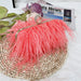 Ostrich Feather Clutch