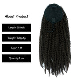 Afro Kinky Curly Ponytail Braid Clip